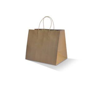 Kraft Bag with Twisted Handle Medium