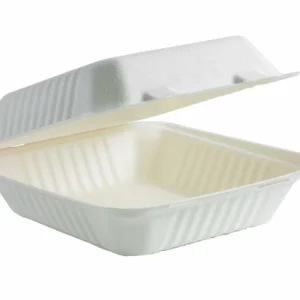 8" Sugarcane Clamshell