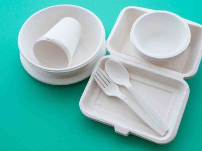 Natural eco-friendly disposable utensils (fork, spoon, dish plate, bowl, cup and fast food box container) made of fiber of bagasse and bamboo on green background with copy space. Save the earth - Dev Foods, Melbourne - Specialised Food Packaging & Cleaning Products Distributor